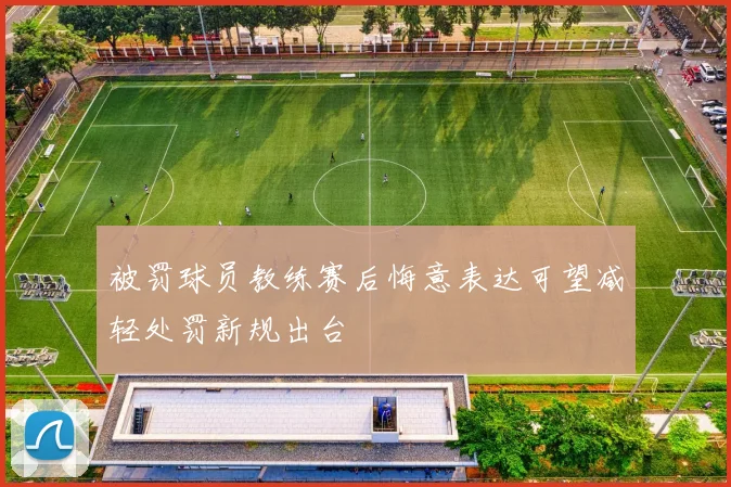 被罚球员教练赛后悔意表达可望减轻处罚新规出台