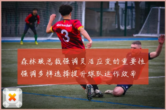 森林狼总裁强调灵活应变的重要性强调多样选择提升球队运作效率