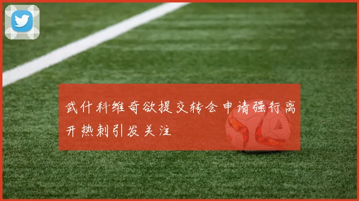 武什科维奇欲提交转会申请强行离开热刺引发关注